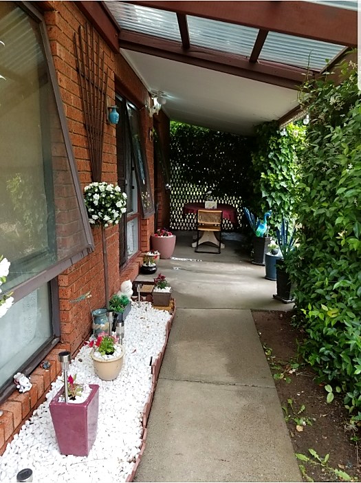 Tidy planted walkway along the side of a home